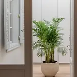 Appartement Amalie Nauplie