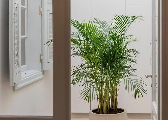 Апартаменты Amalie Нафплион